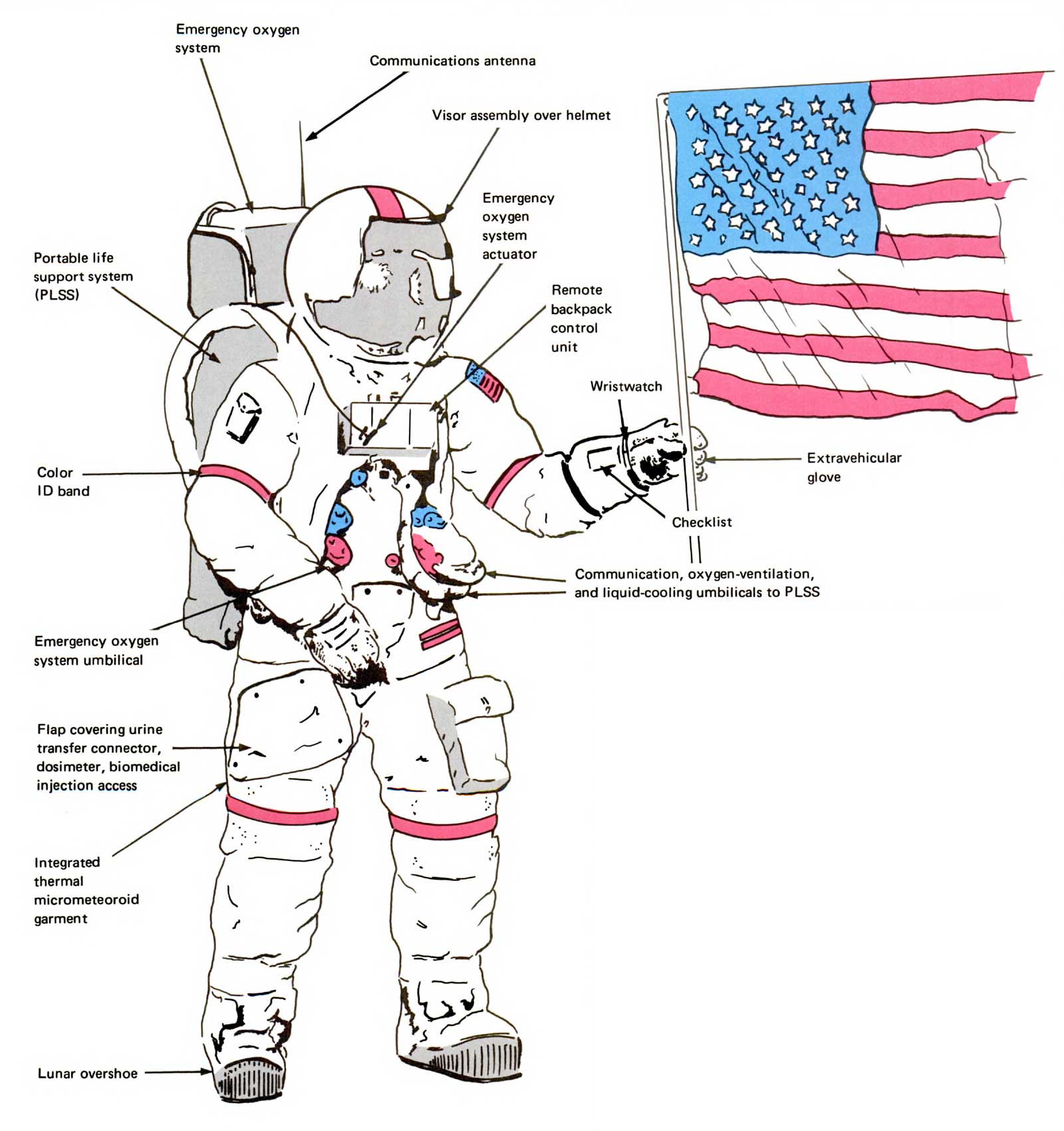 A picture of the spacesuit